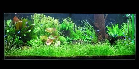 Sebastian26
